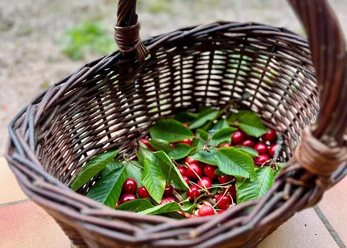 Hoteliere Du Magnoac 酒店 Castelnau-Magnoac