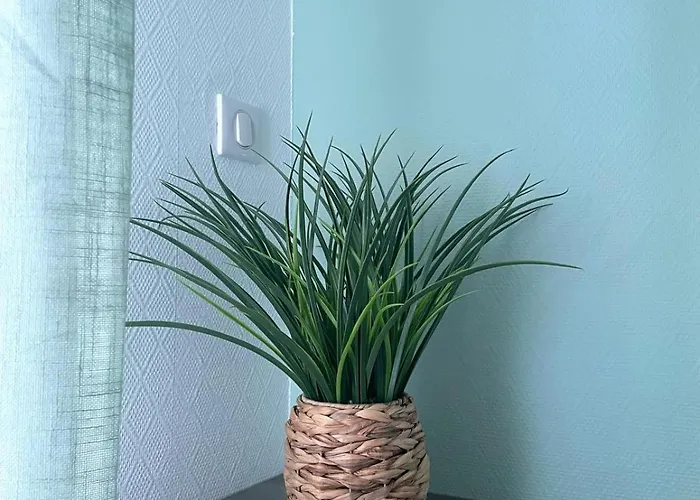 酒店 Hoteliere Du Magnoac *