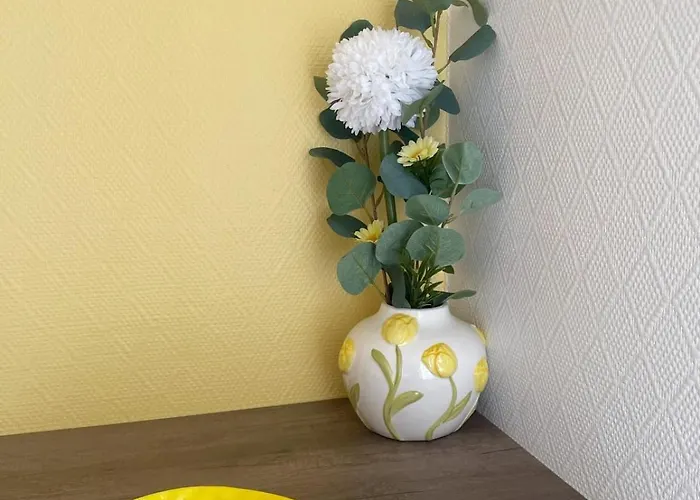 Hoteliere Du Magnoac 酒店 *