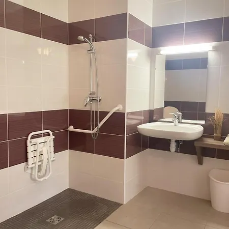 Отель Hoteliere Du Magnoac *