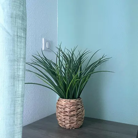 Отель Hoteliere Du Magnoac *