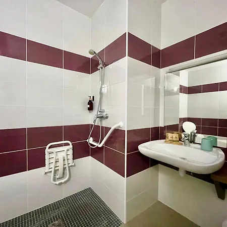 Отель Hoteliere Du Magnoac *